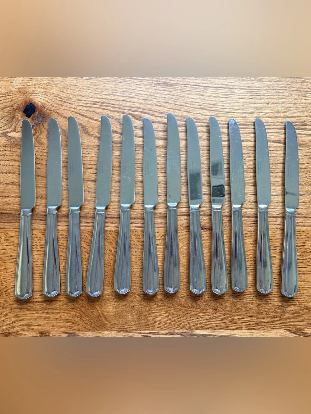 Reed & Barton Tarbor Stainless Steel Dinner Knife Set of 11